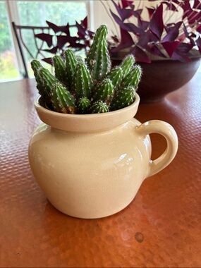 Cream Ceramic Handle Vase - Minimalist Home Accent